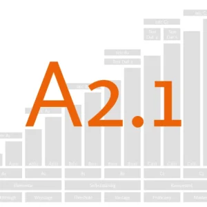 Базовый А 2.1